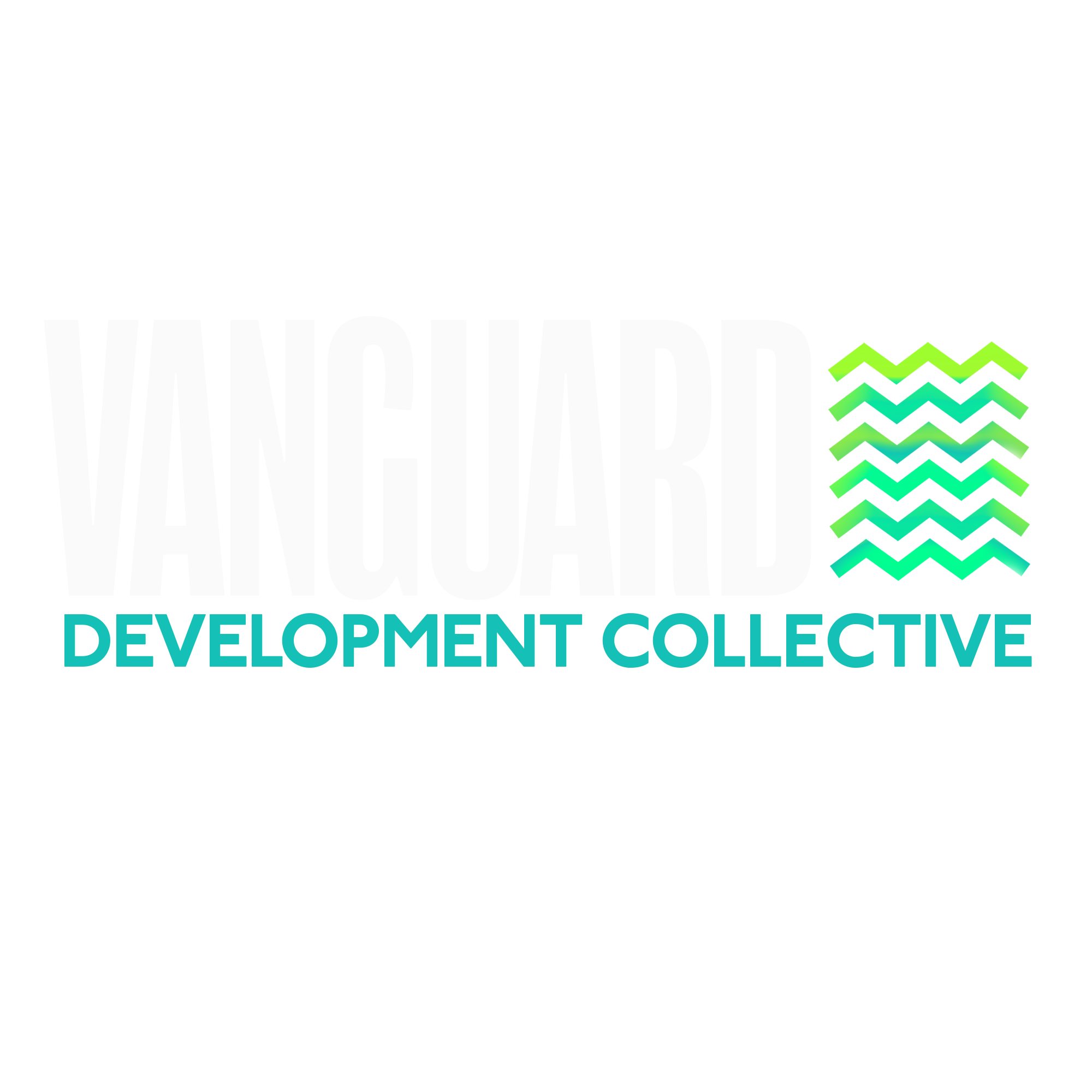 VANGUARD WHITE LOGO